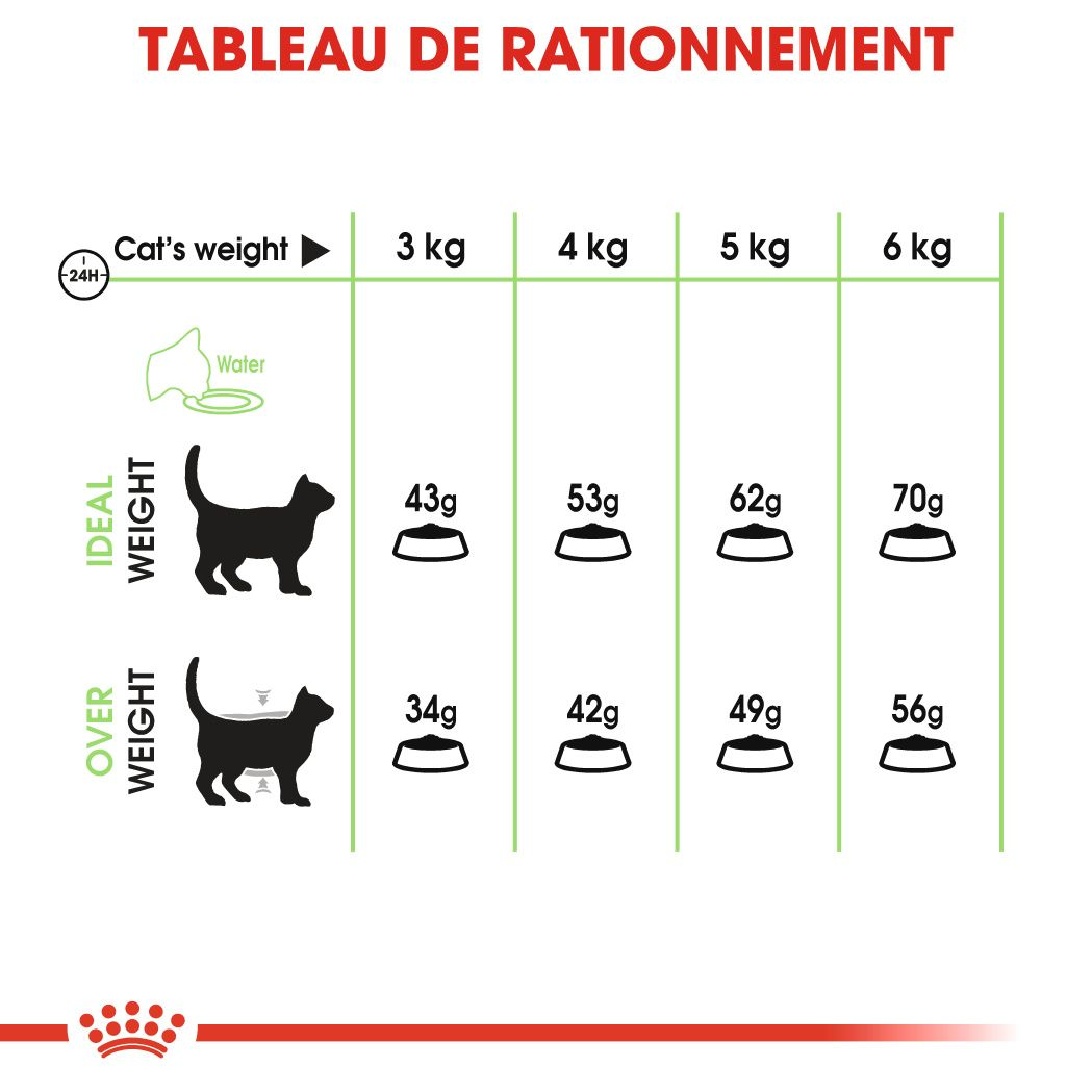 Digestive Care – 5