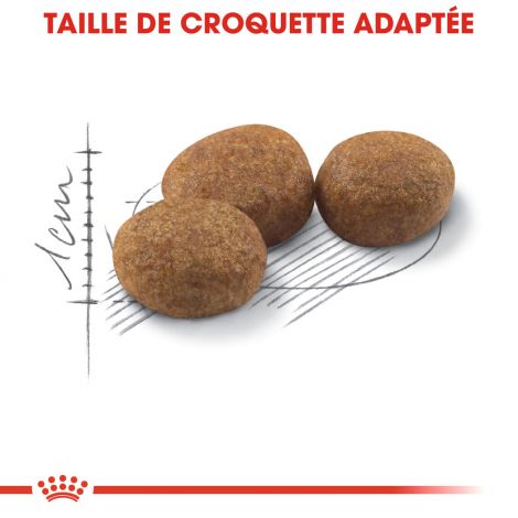 croquettes-sterilised37-400g-837972-6 croquettes-sterilised37-400g-837972-6