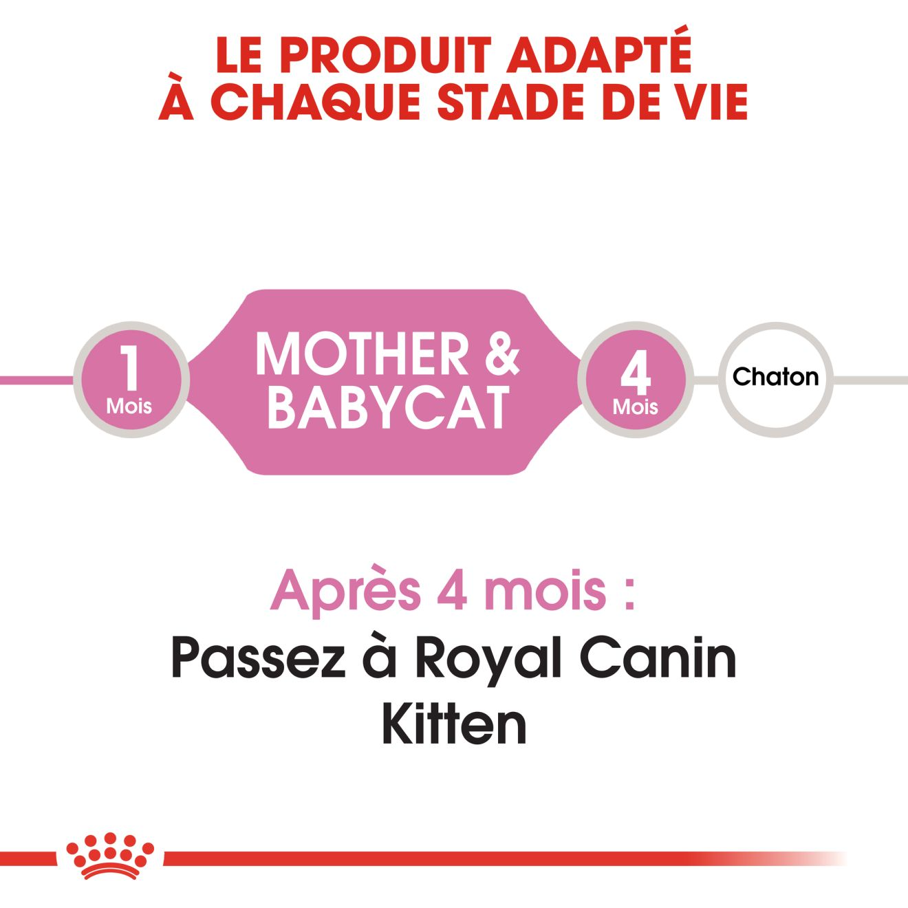 Mother & Babycat – 3 Mother & Babycat – 3