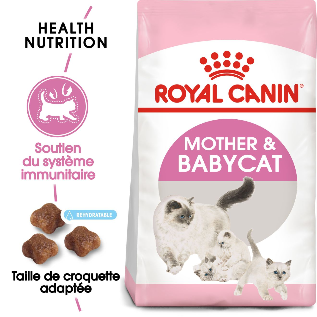 Mother & Babycat – 5 Mother & Babycat – 5