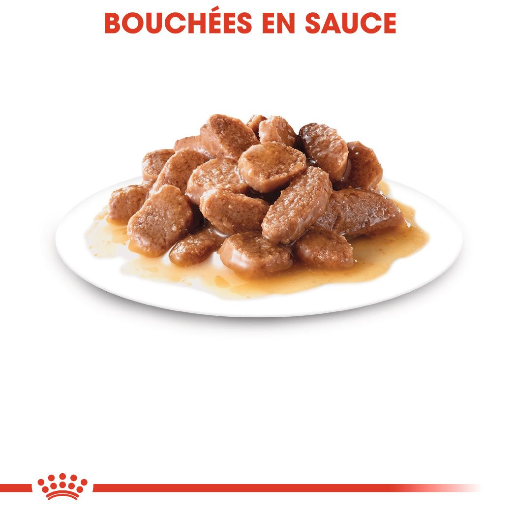 Instinctive en sauce – 7 Instinctive en sauce – 7