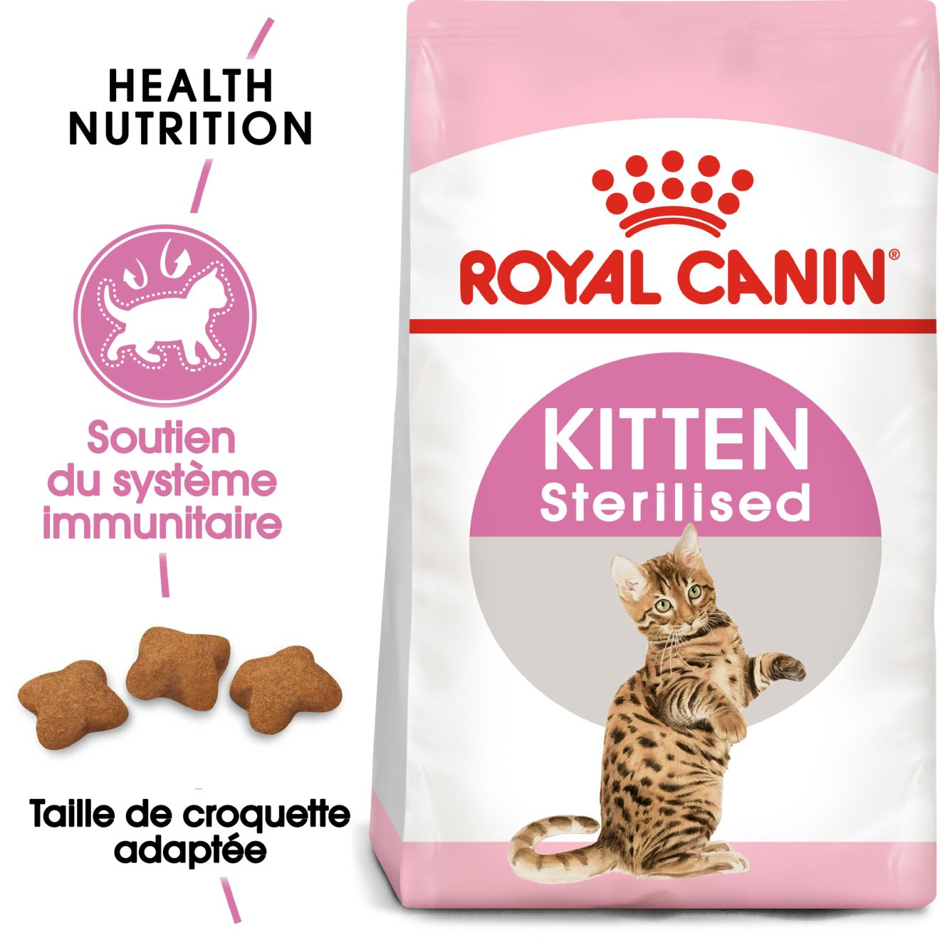 Kitten Sterilised – 7 Kitten Sterilised – 7