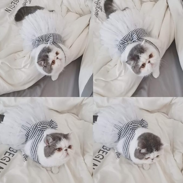 Saggns ggtffiffftre Saggns ggtffiffftre