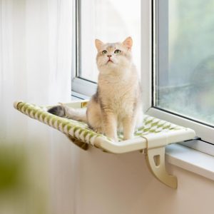 lit hamac pour chats d'intérieur, sans perçage, sans ventouse ni crochet