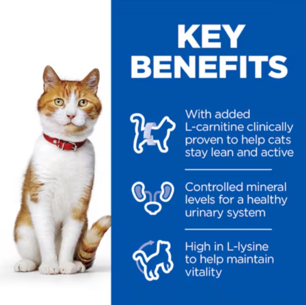 Hill’s Science Plan Sterilised Cat au Saumon 1,5 kg 3 kg 10 kg pour chat adulte stérilisé Hill’s Science Plan Sterilised Cat au Saumon 1,5 kg 3 kg 10 kg pour chat adulte stérilisé