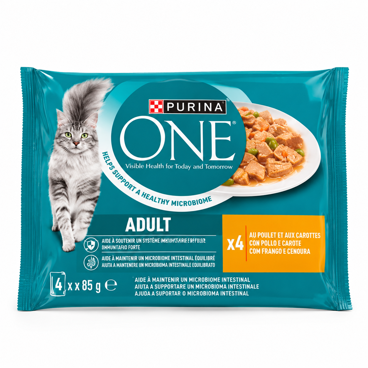 Purina ONE Adult Poulet Haricots Verts en Sauce 4 × 85 g