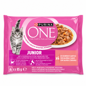 Purina ONE Junior Saumon et Carottes en Sauce 4 × 85 g